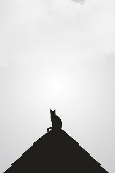 minimal-blogger-11-ogw6v2xhiykjkglcbcath685qobodkmr0r3cplch9s